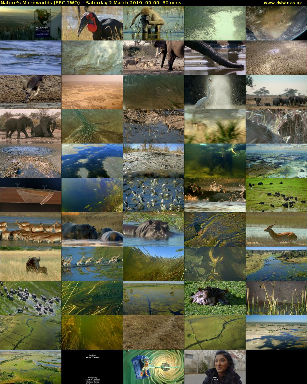 Nature's Microworlds (BBC TWO) Saturday 2 March 2019 09:00 - 09:30