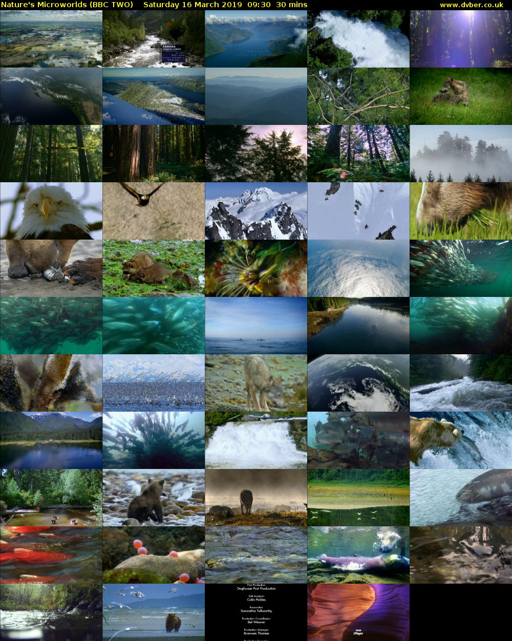 Nature's Microworlds (BBC TWO) Saturday 16 March 2019 09:30 - 10:00
