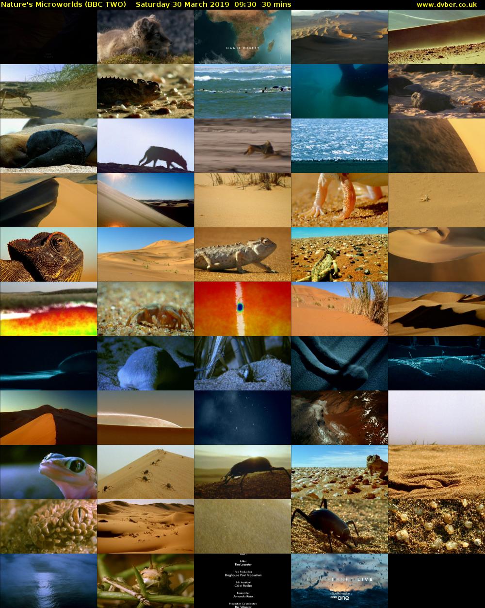 Nature's Microworlds (BBC TWO) Saturday 30 March 2019 09:30 - 10:00