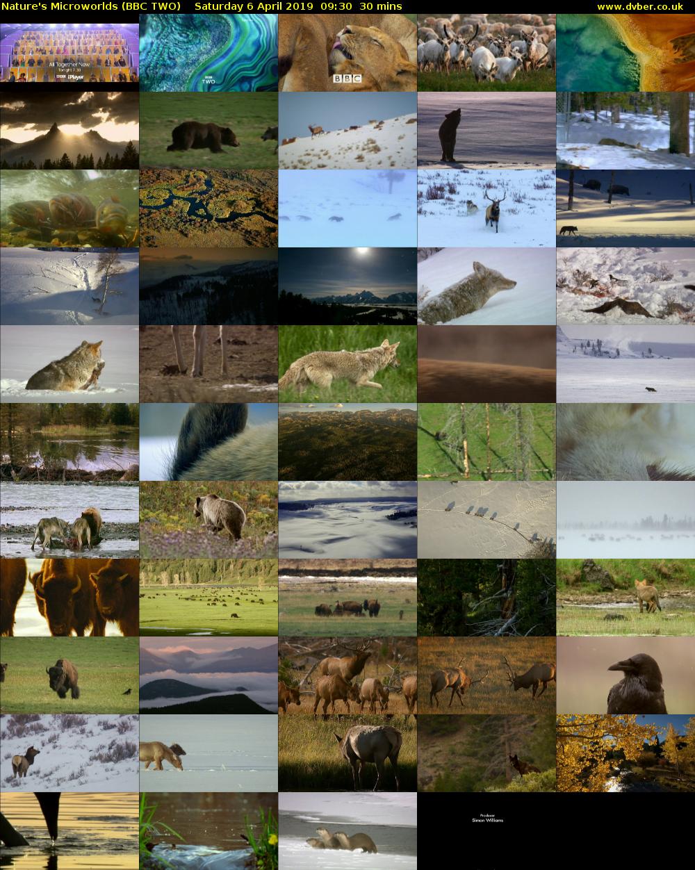 Nature's Microworlds (BBC TWO) Saturday 6 April 2019 09:30 - 10:00