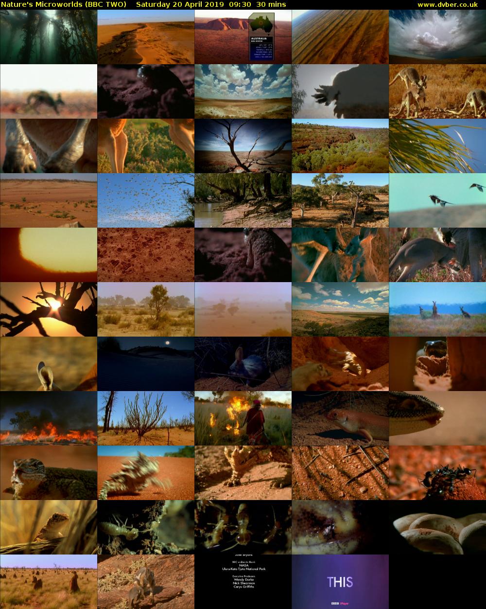 Nature's Microworlds (BBC TWO) Saturday 20 April 2019 09:30 - 10:00
