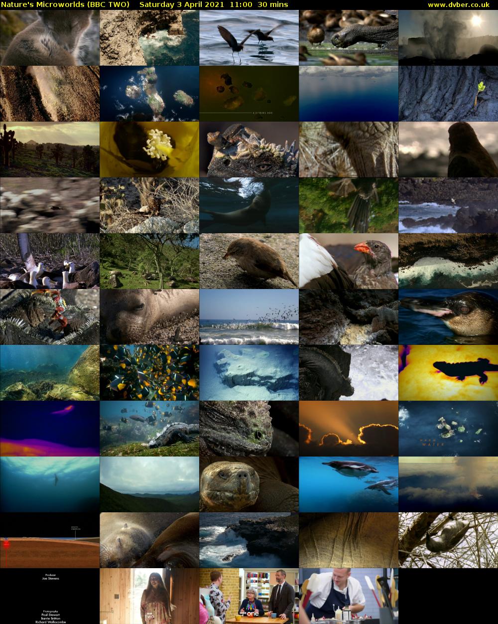 Nature's Microworlds (BBC TWO) Saturday 3 April 2021 11:00 - 11:30