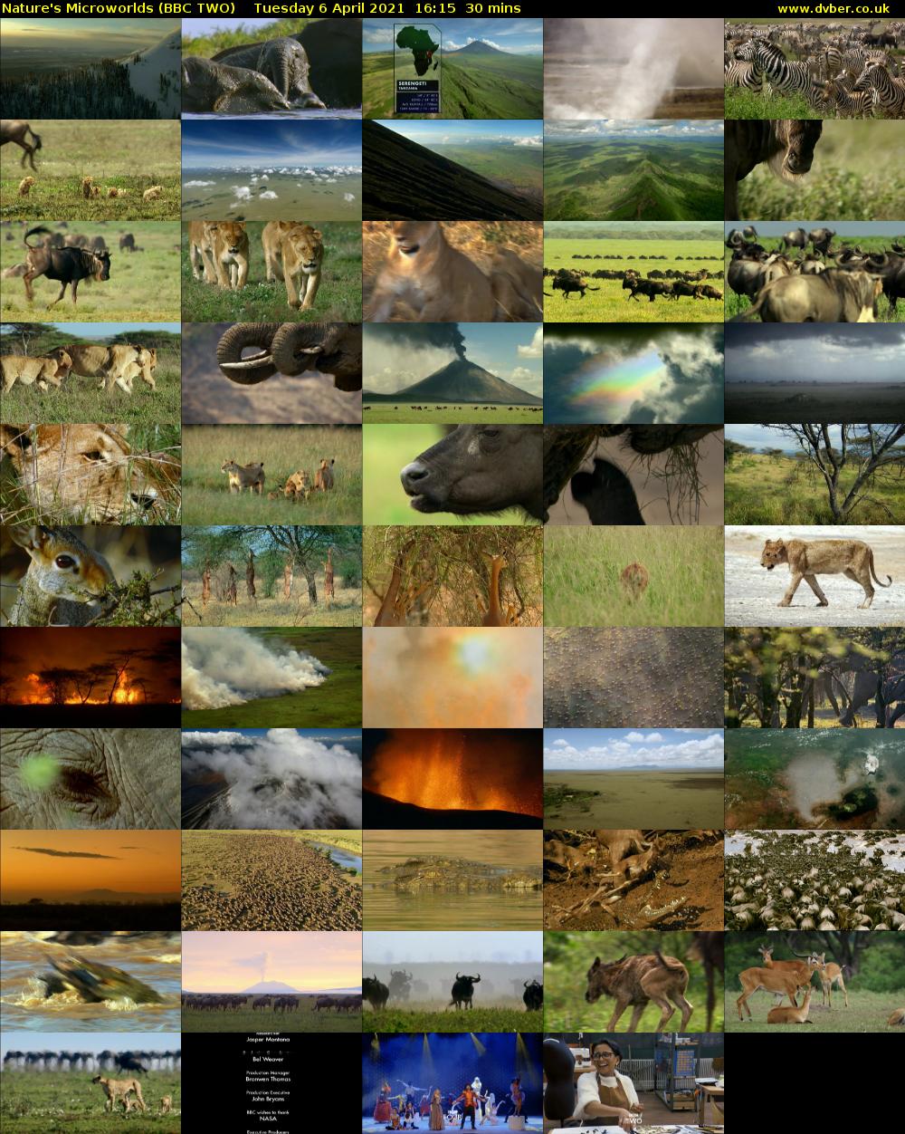 Nature's Microworlds (BBC TWO) Tuesday 6 April 2021 16:15 - 16:45