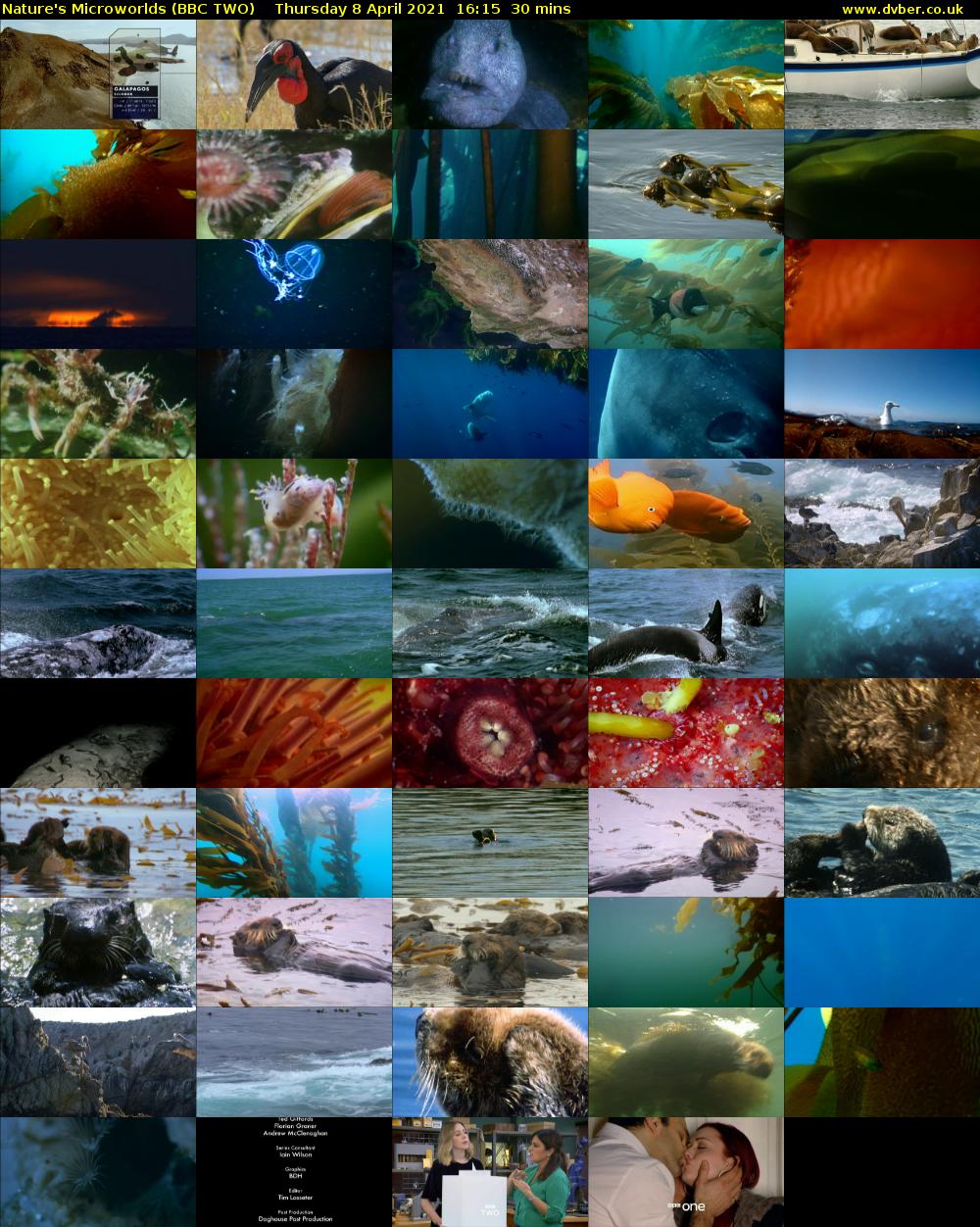 Nature's Microworlds (BBC TWO) Thursday 8 April 2021 16:15 - 16:45