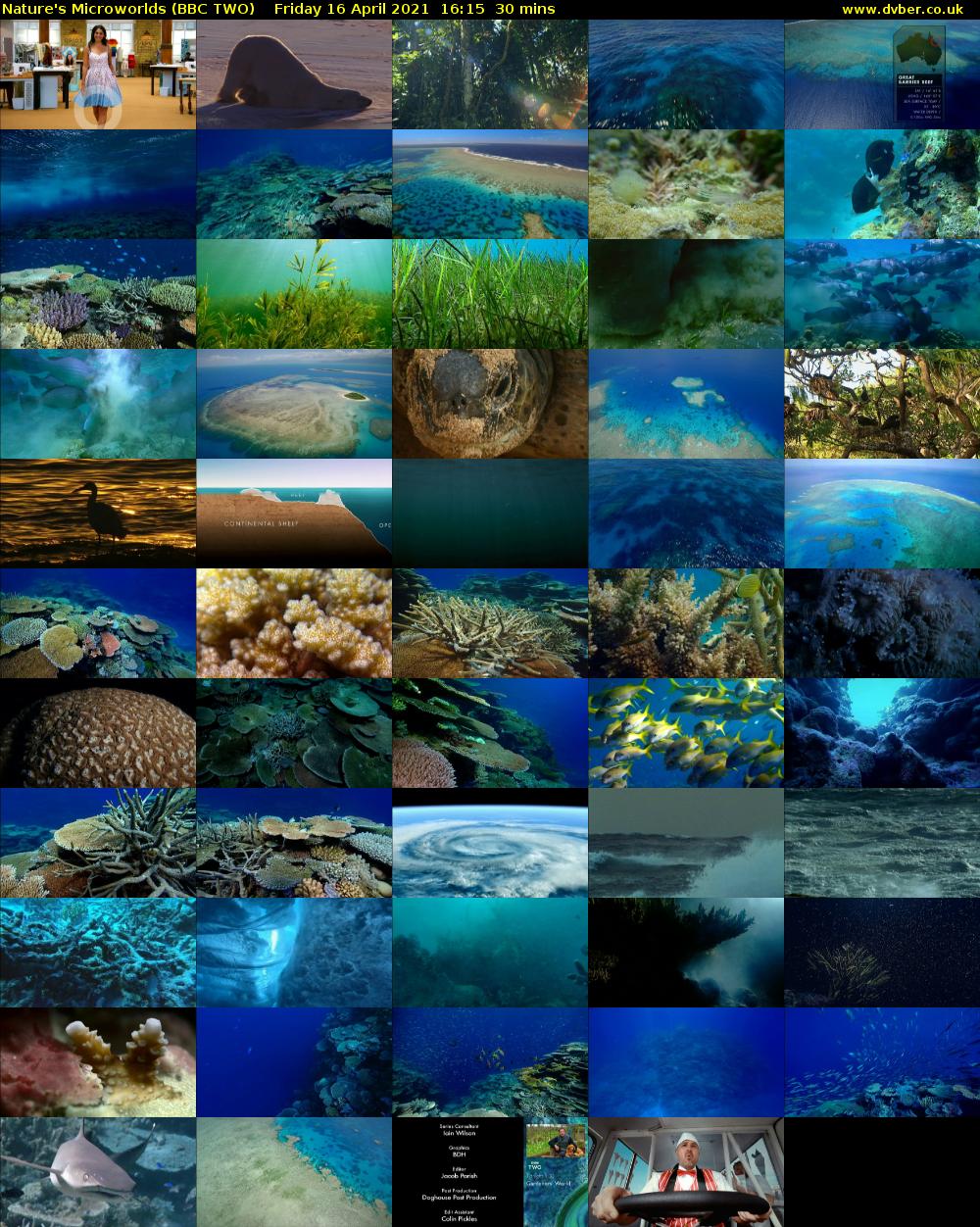 Nature's Microworlds (BBC TWO) Friday 16 April 2021 16:15 - 16:45