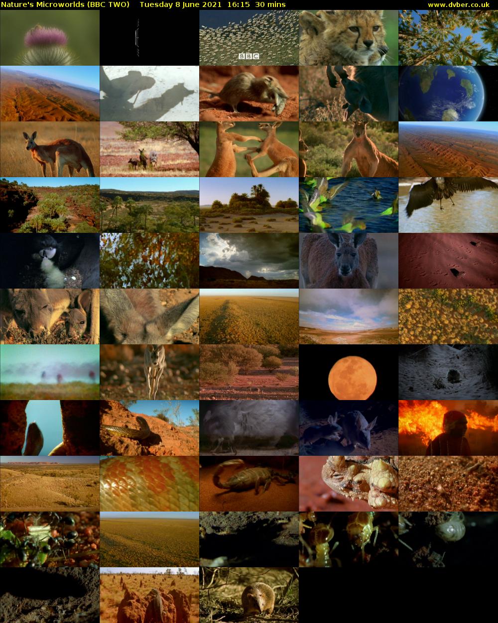 Nature's Microworlds (BBC TWO) Tuesday 8 June 2021 16:15 - 16:45