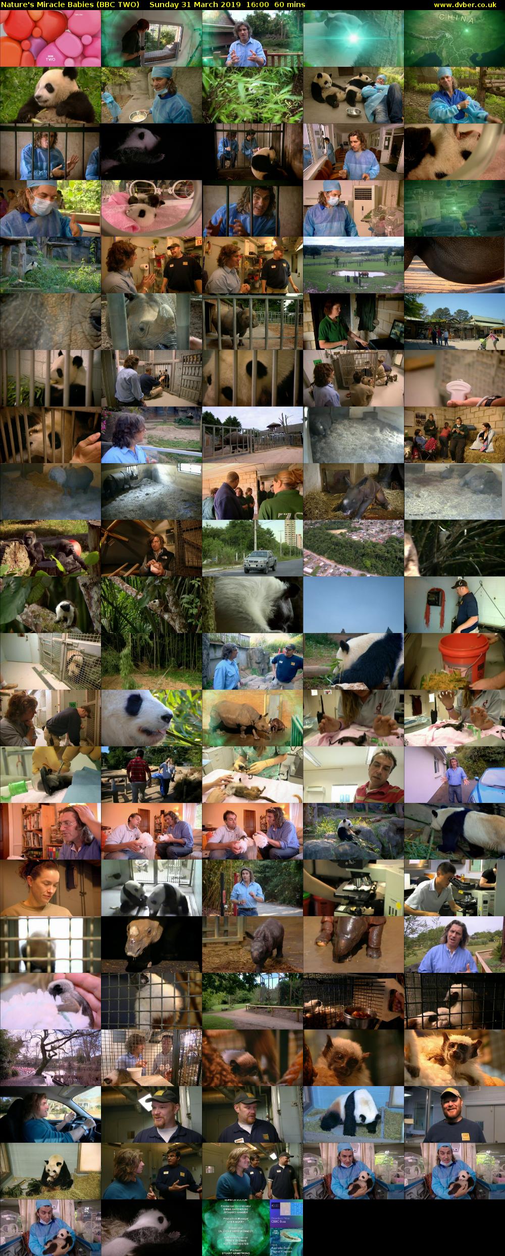 Nature's Miracle Babies (BBC TWO) Sunday 31 March 2019 16:00 - 17:00