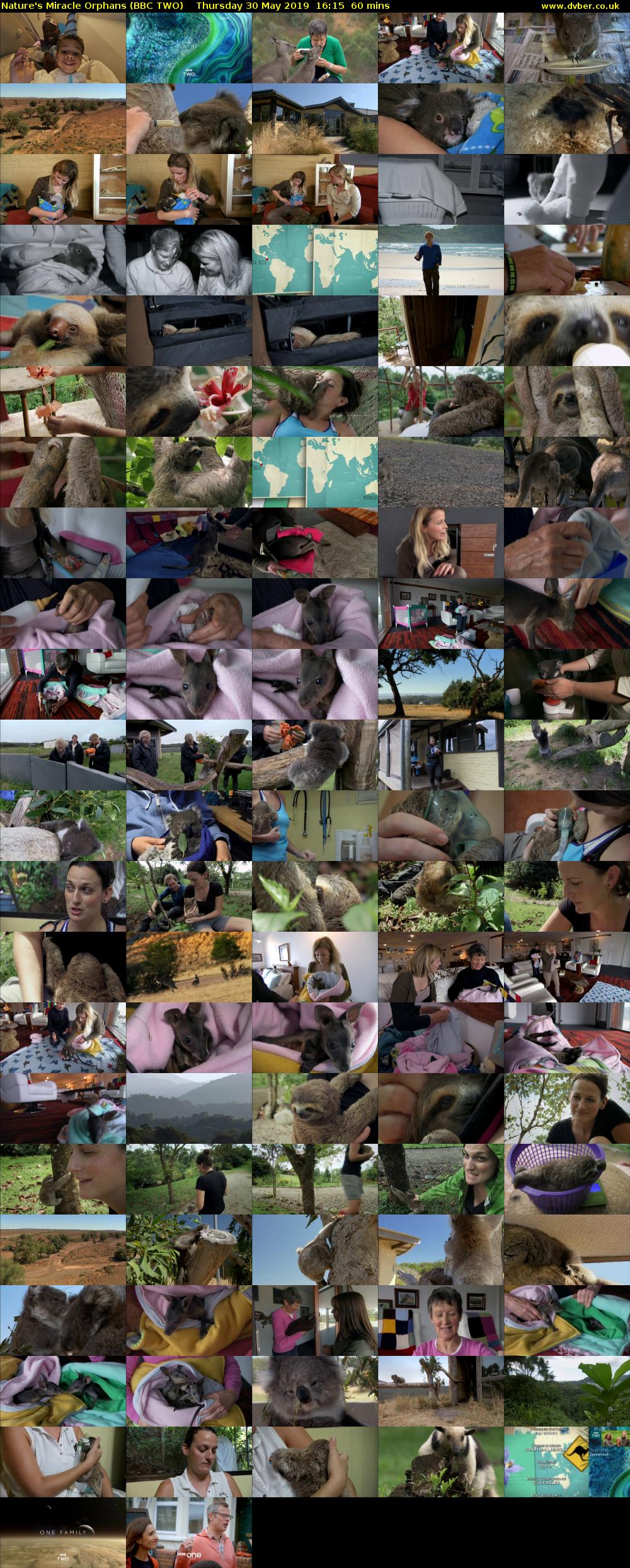 Nature's Miracle Orphans (BBC TWO) Thursday 30 May 2019 16:15 - 17:15