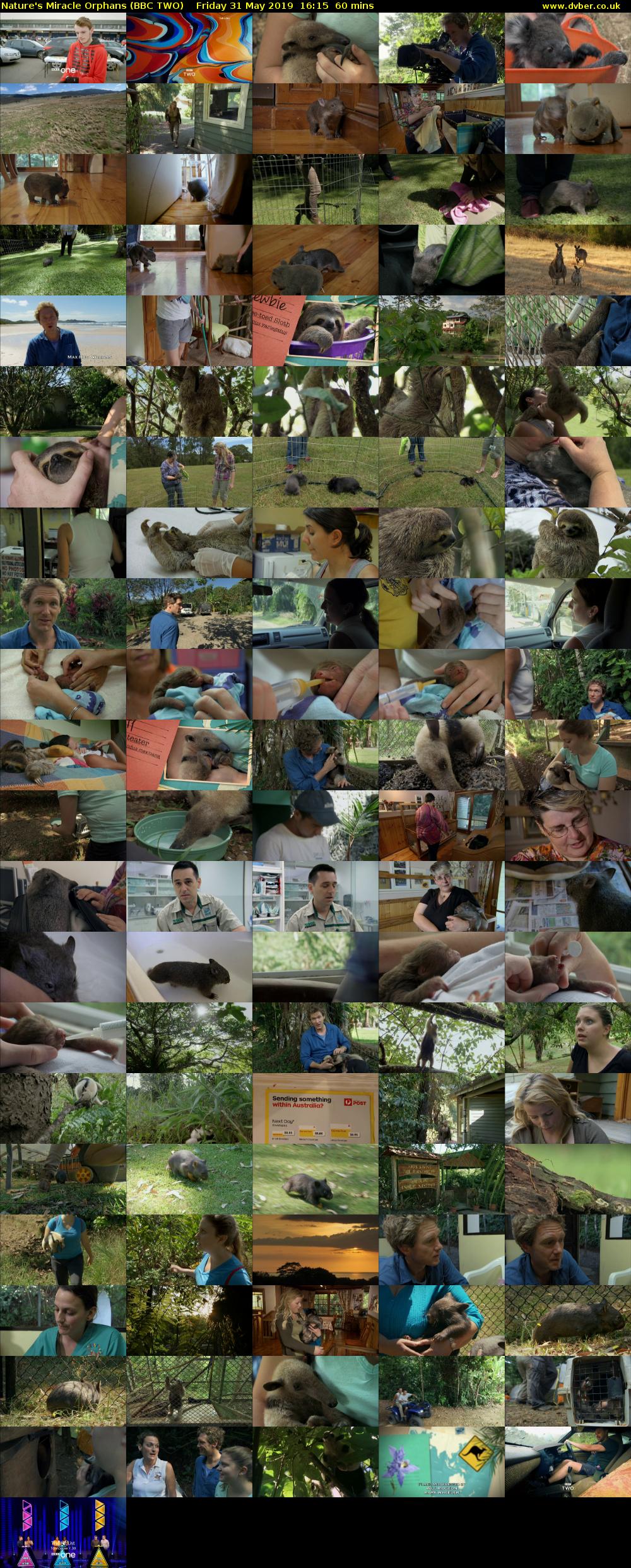Nature's Miracle Orphans (BBC TWO) Friday 31 May 2019 16:15 - 17:15