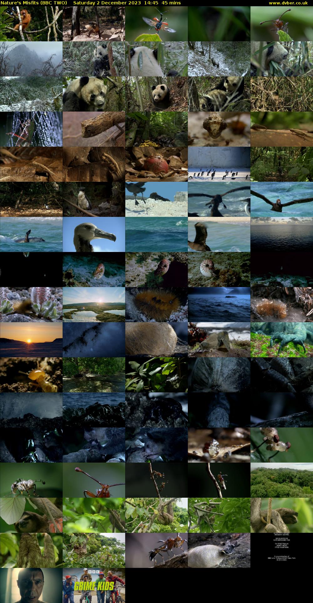 Nature's Misfits (BBC TWO) Saturday 2 December 2023 14:45 - 15:30