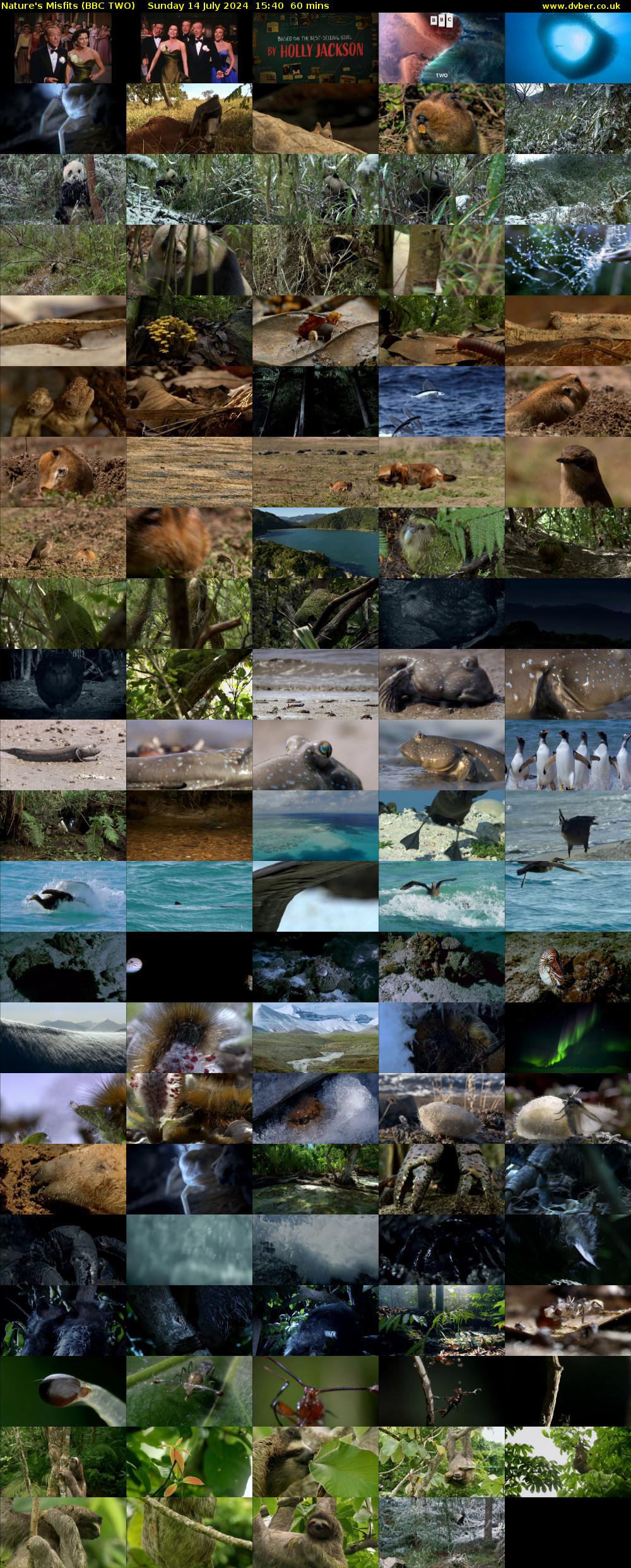 Nature's Misfits (BBC TWO) Sunday 14 July 2024 15:40 - 16:40