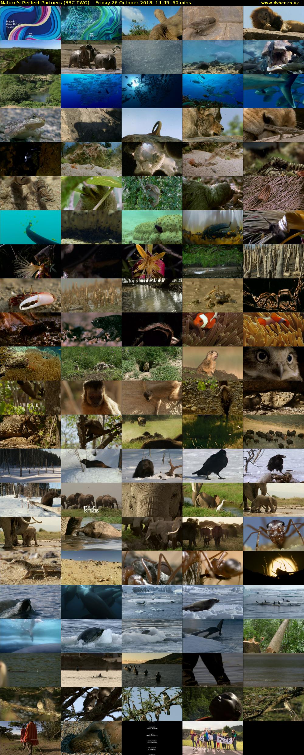 Nature's Perfect Partners (BBC TWO) Friday 26 October 2018 14:45 - 15:45