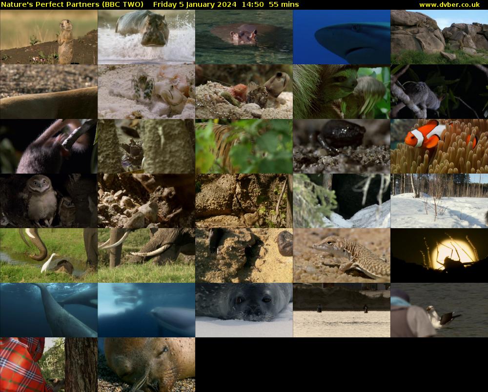Nature's Perfect Partners (BBC TWO) Friday 5 January 2024 14:50 - 15:45