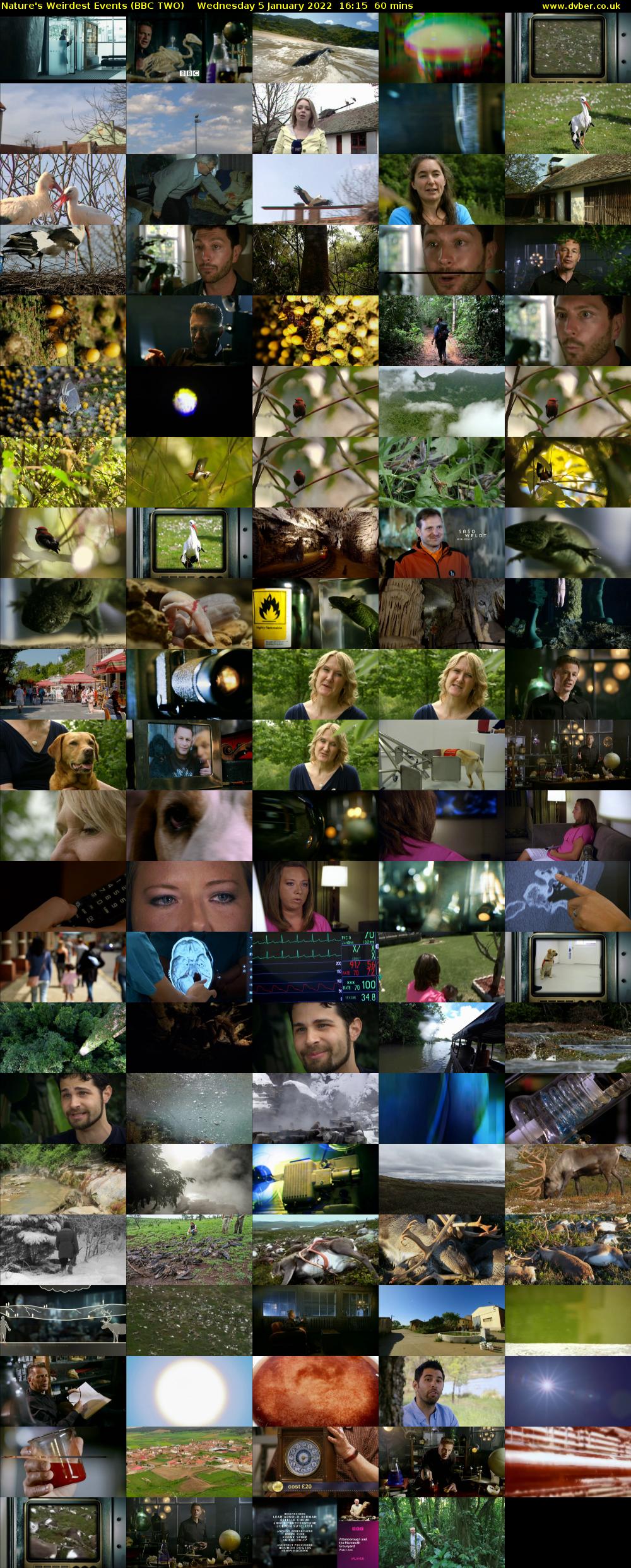 Nature's Weirdest Events (BBC TWO) Wednesday 5 January 2022 16:15 - 17:15