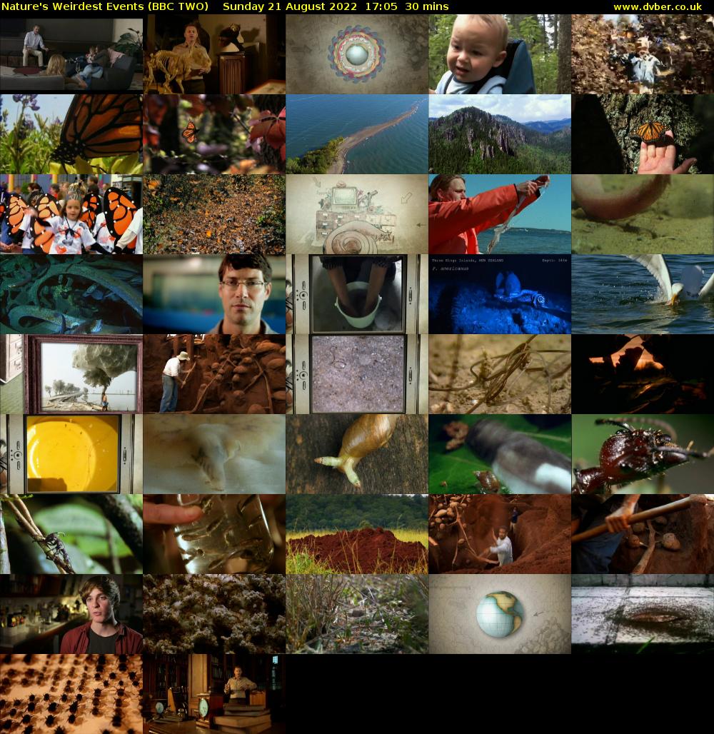 Nature's Weirdest Events (BBC TWO) Sunday 21 August 2022 17:05 - 17:35