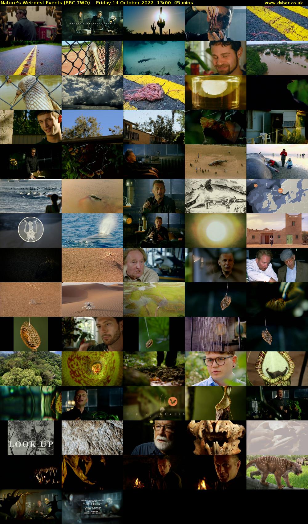 Nature's Weirdest Events (BBC TWO) Friday 14 October 2022 13:00 - 13:45