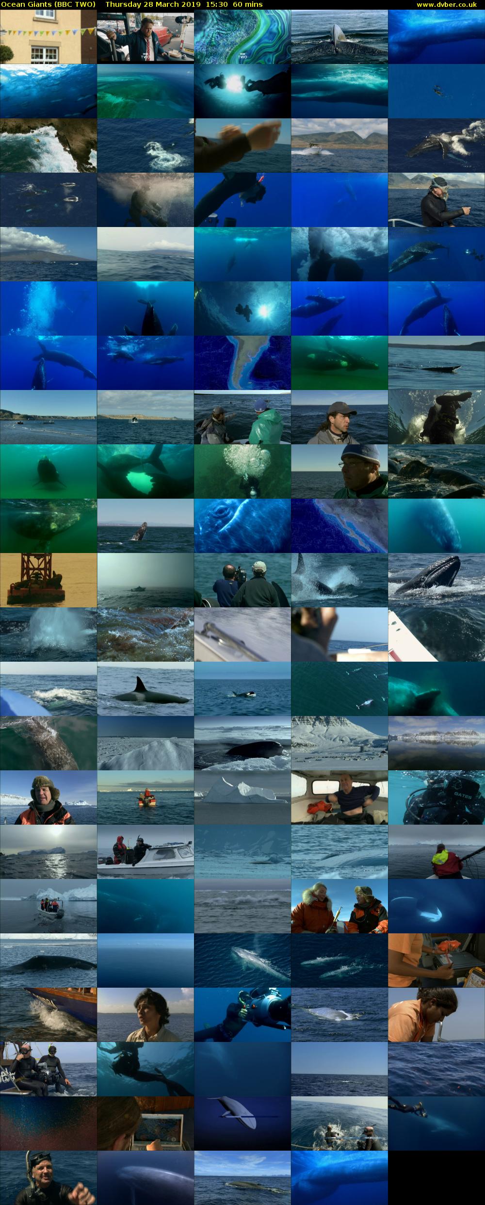 Ocean Giants (BBC TWO) Thursday 28 March 2019 15:30 - 16:30
