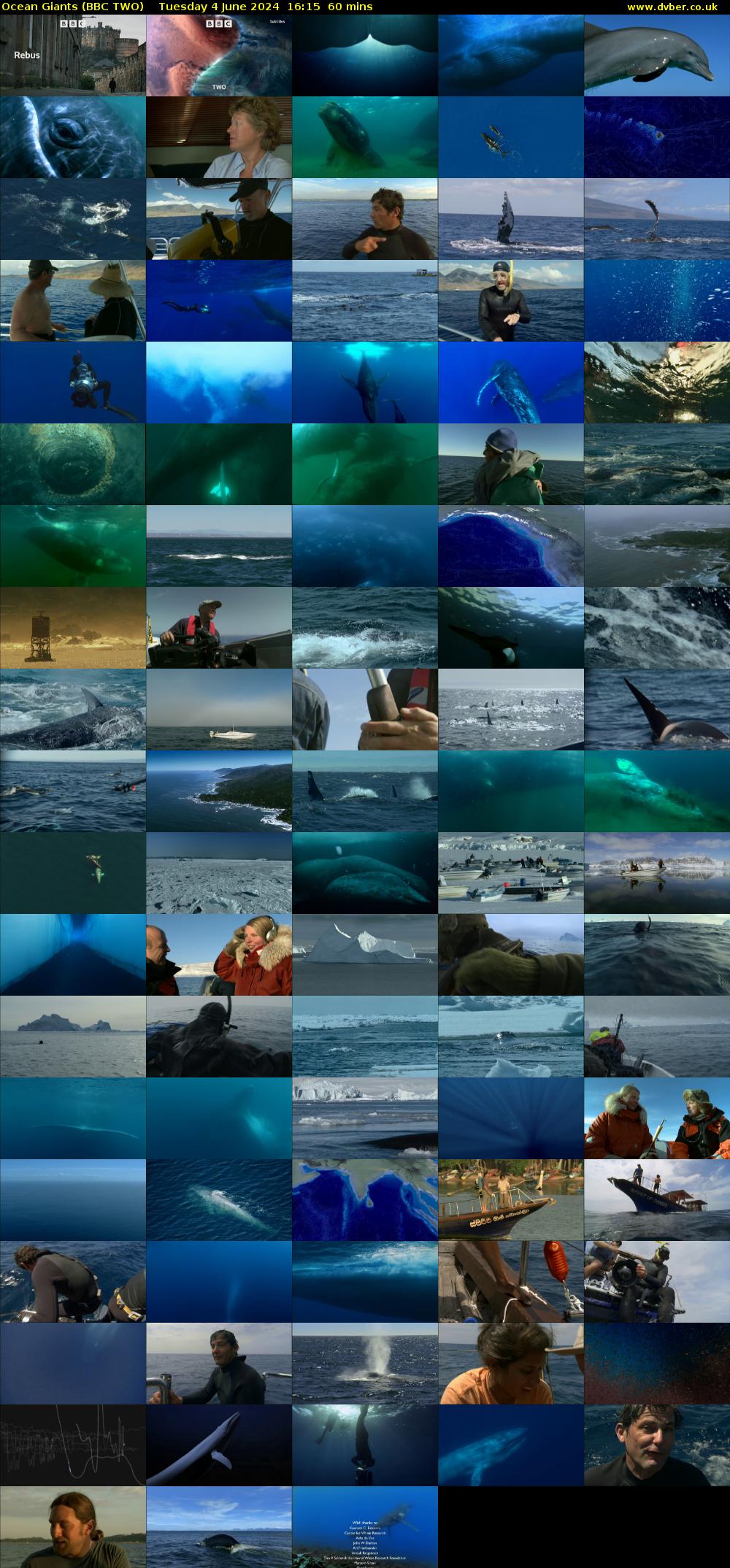 Ocean Giants (BBC TWO) Tuesday 4 June 2024 16:15 - 17:15