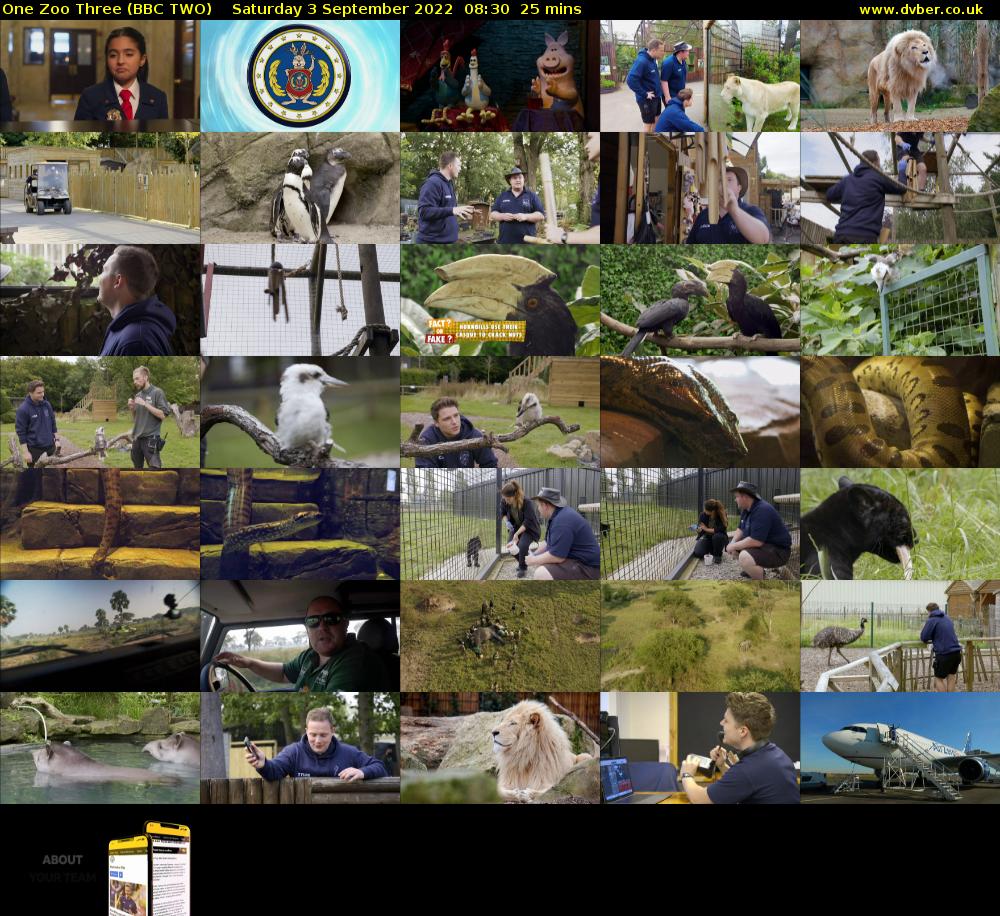 One Zoo Three (BBC TWO) Saturday 3 September 2022 08:30 - 08:55