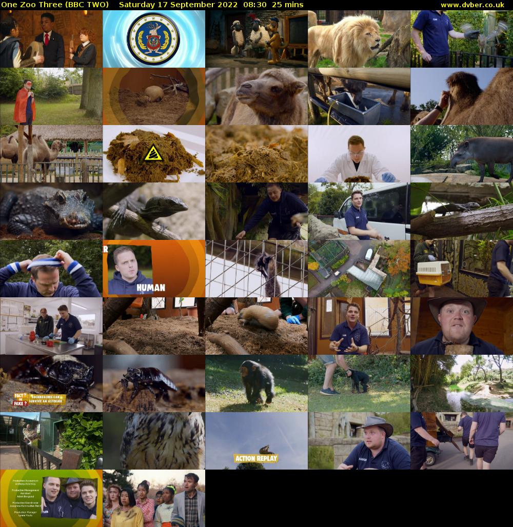 One Zoo Three (BBC TWO) Saturday 17 September 2022 08:30 - 08:55