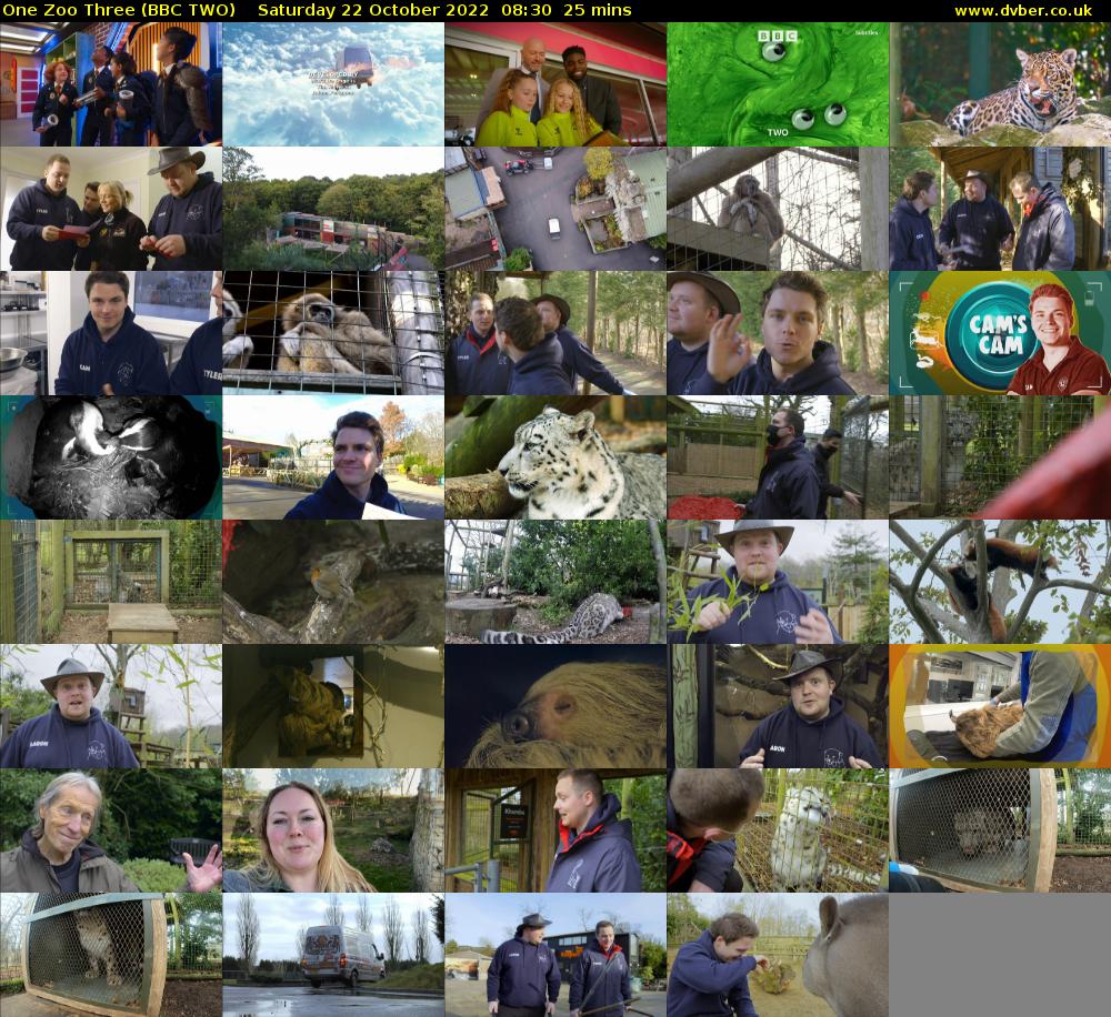 One Zoo Three (BBC TWO) Saturday 22 October 2022 08:30 - 08:55