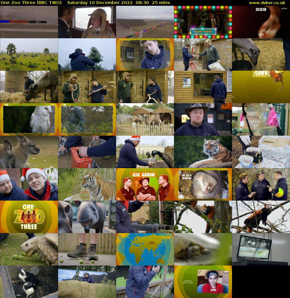 One Zoo Three (BBC TWO) Saturday 10 December 2022 08:30 - 08:55