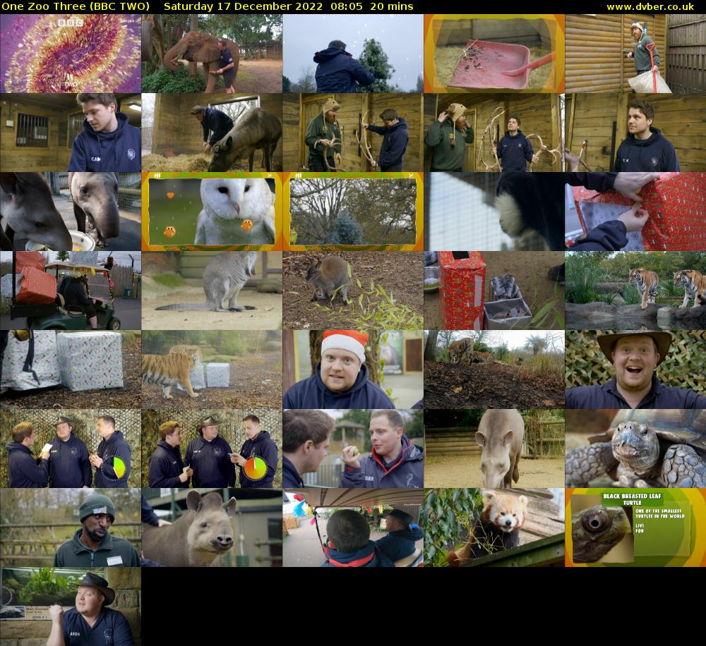One Zoo Three (BBC TWO) Saturday 17 December 2022 08:05 - 08:25