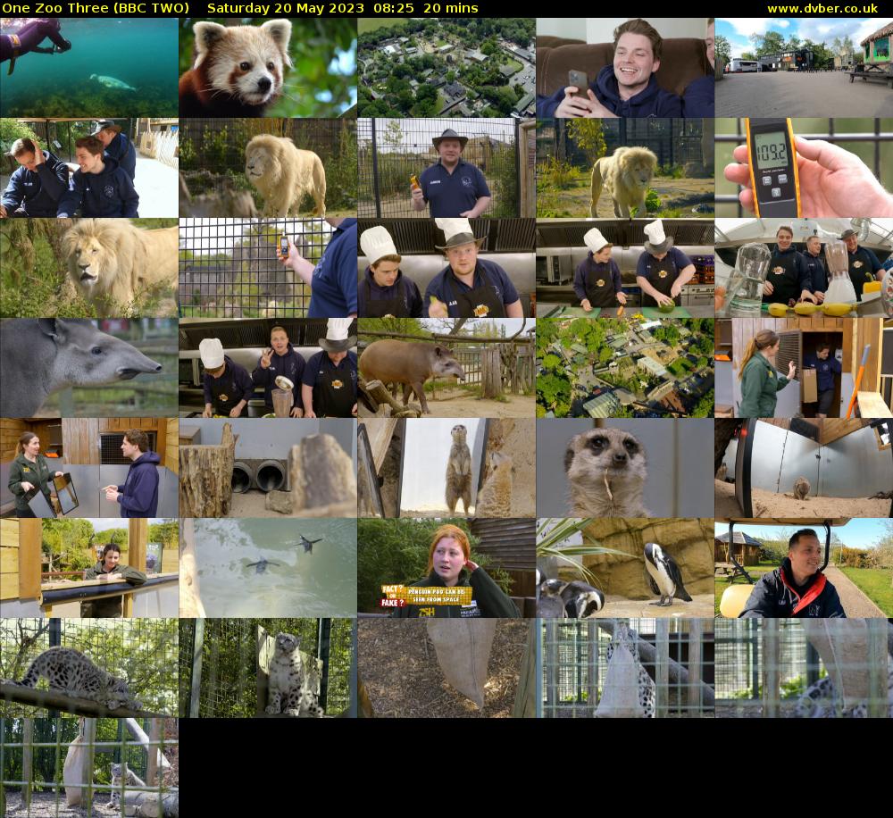 One Zoo Three (BBC TWO) Saturday 20 May 2023 08:25 - 08:45