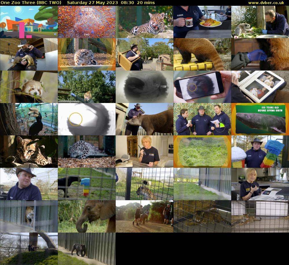One Zoo Three (BBC TWO) Saturday 27 May 2023 08:30 - 08:50