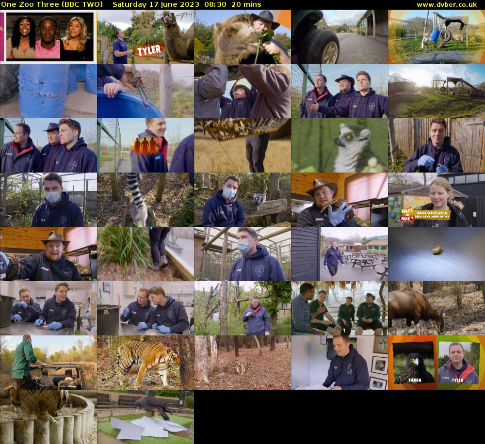 One Zoo Three (BBC TWO) Saturday 17 June 2023 08:30 - 08:50