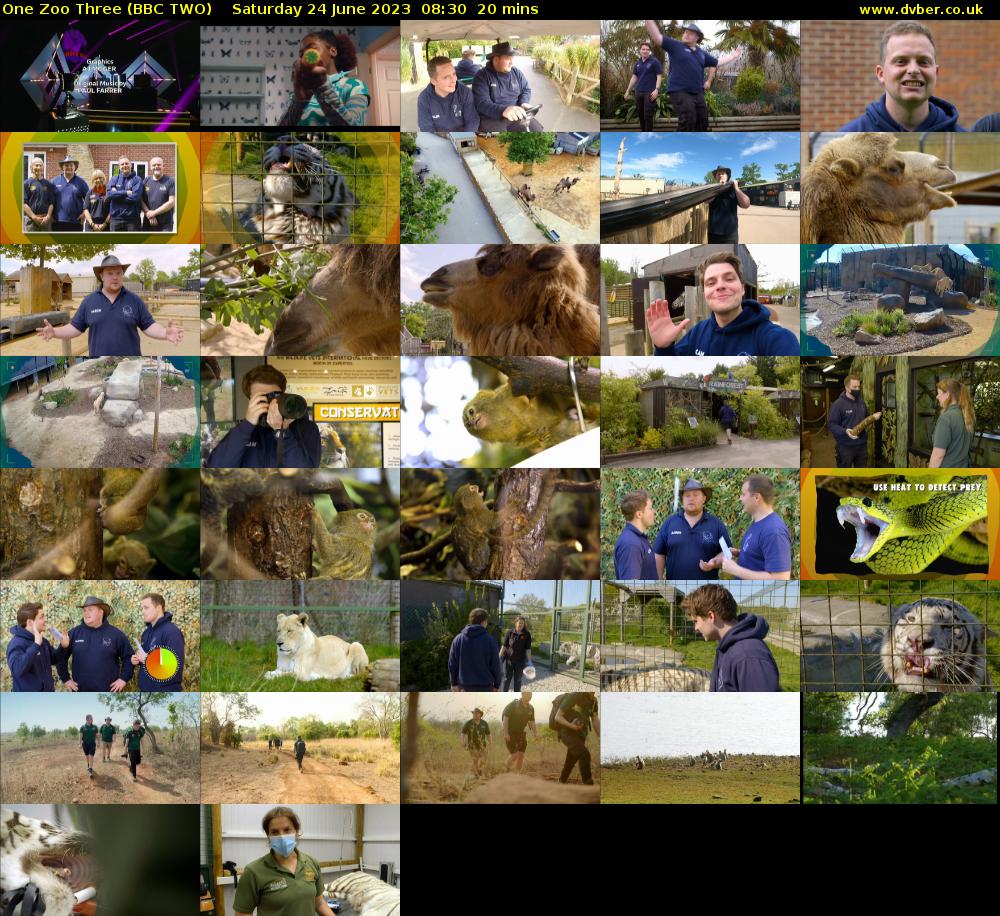 One Zoo Three (BBC TWO) Saturday 24 June 2023 08:30 - 08:50