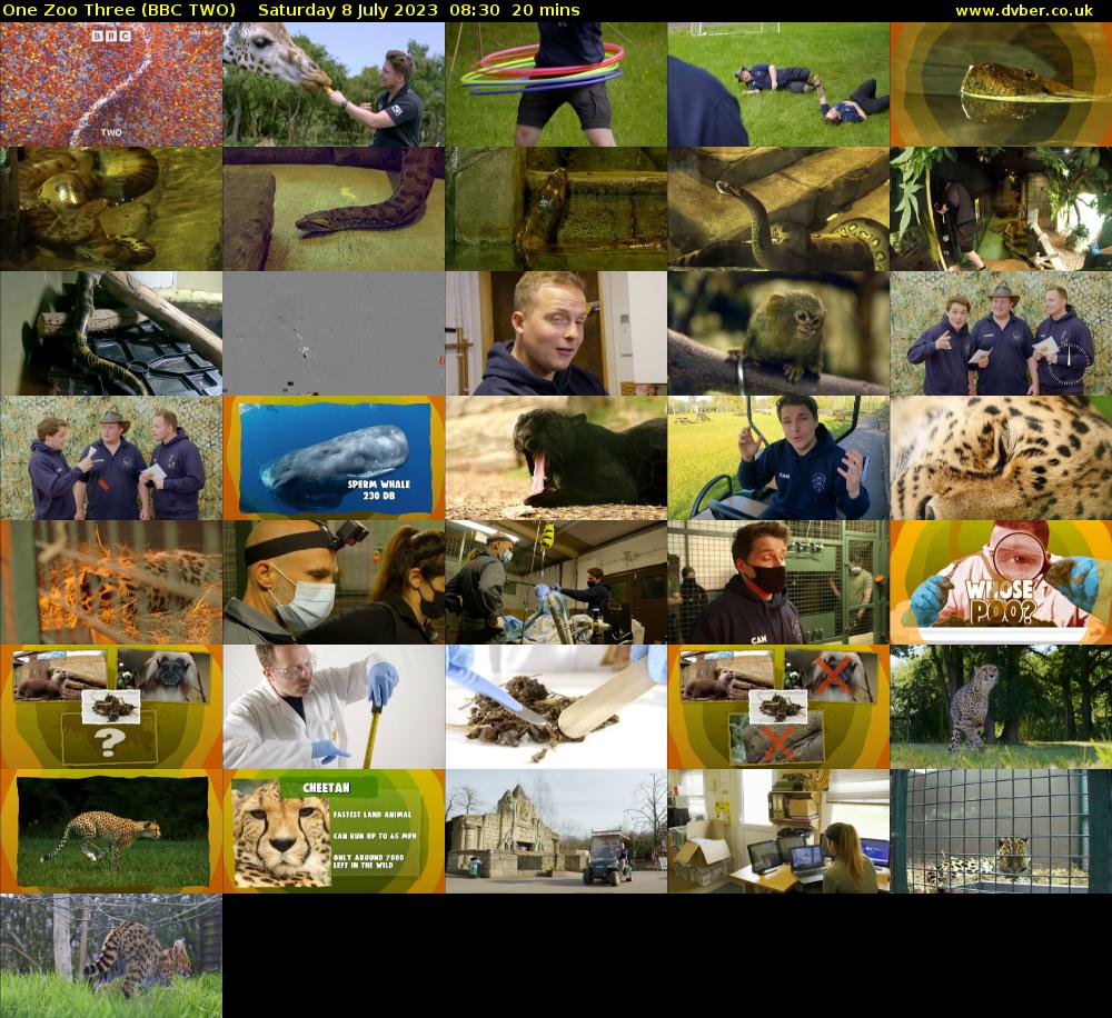 One Zoo Three (BBC TWO) Saturday 8 July 2023 08:30 - 08:50