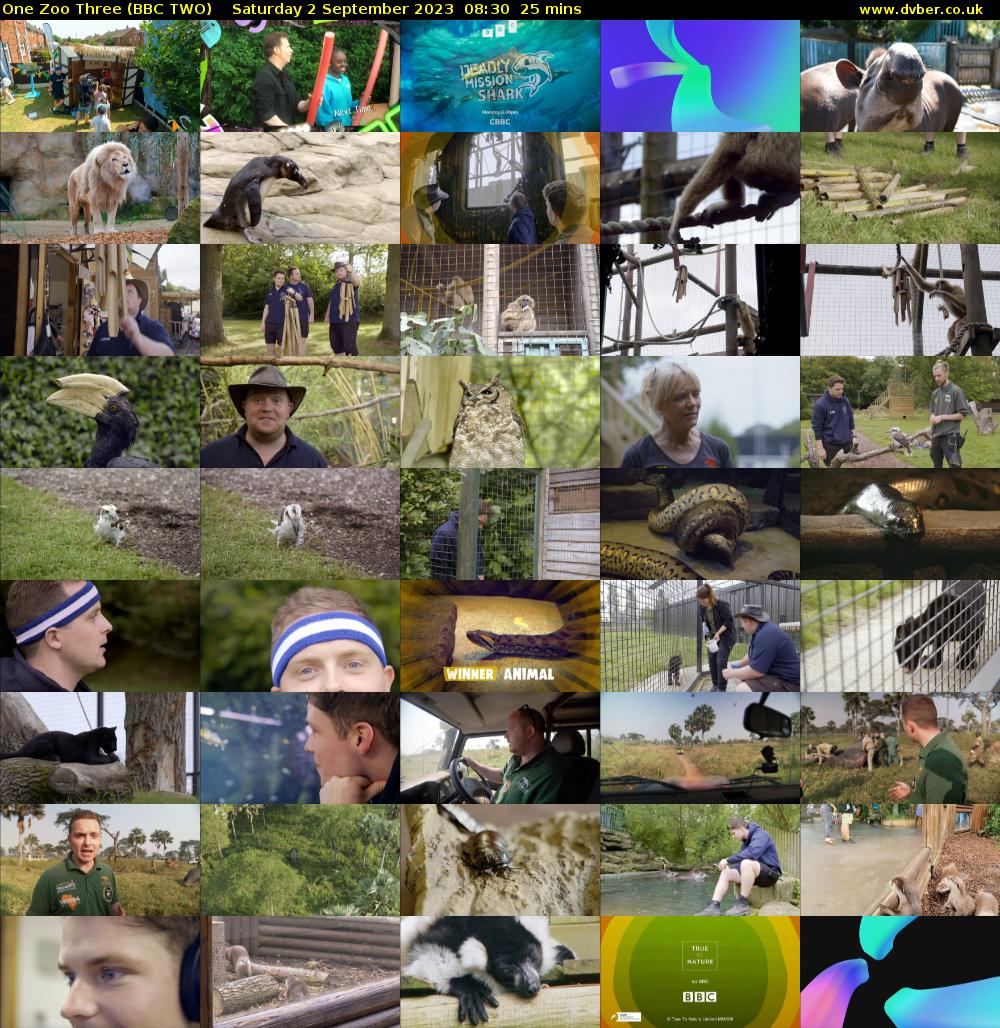 One Zoo Three (BBC TWO) Saturday 2 September 2023 08:30 - 08:55