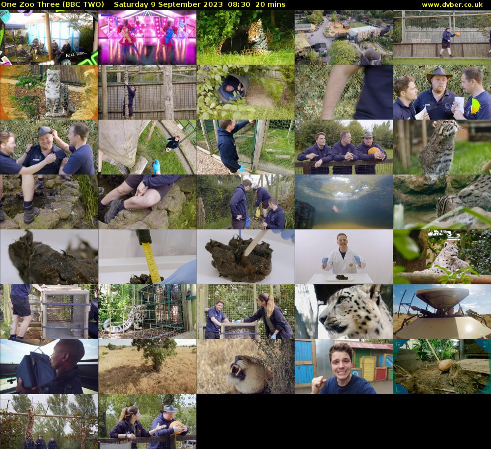 One Zoo Three (BBC TWO) Saturday 9 September 2023 08:30 - 08:50