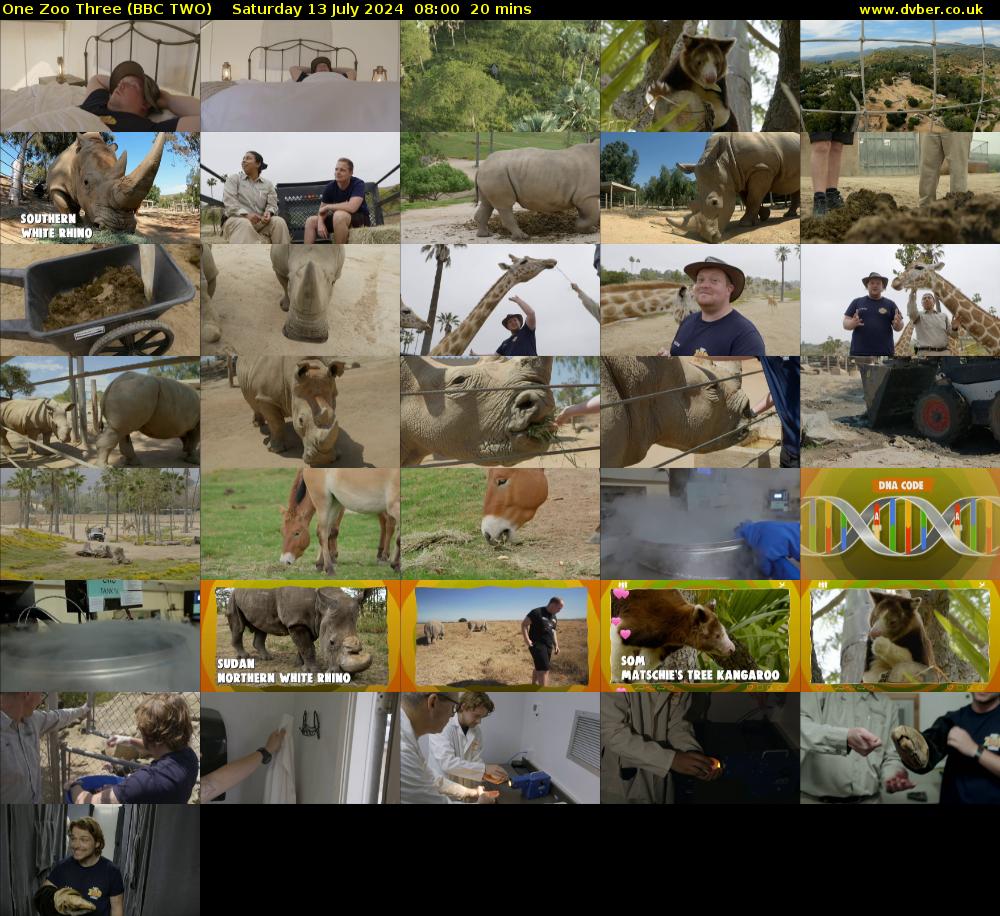 One Zoo Three (BBC TWO) Saturday 13 July 2024 08:00 - 08:20