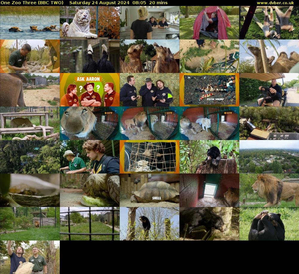 One Zoo Three (BBC TWO) Saturday 24 August 2024 08:05 - 08:25