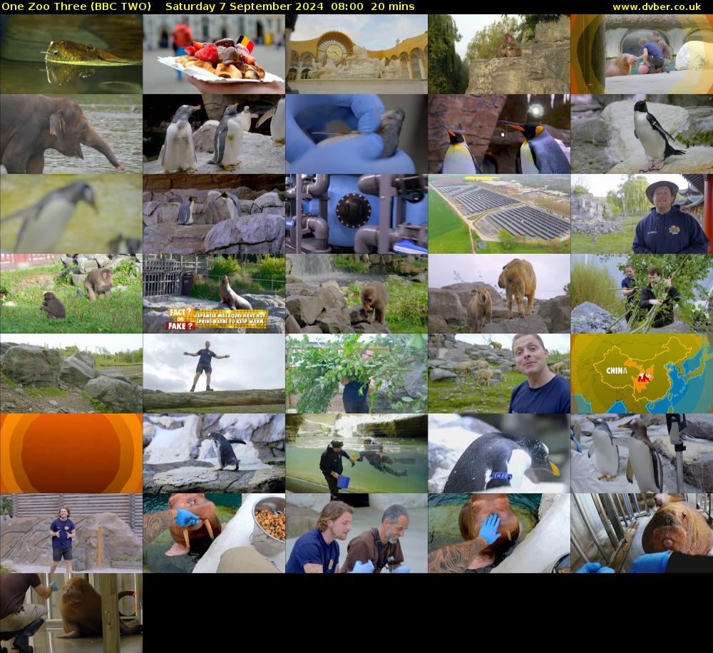 One Zoo Three (BBC TWO) Saturday 7 September 2024 08:00 - 08:20
