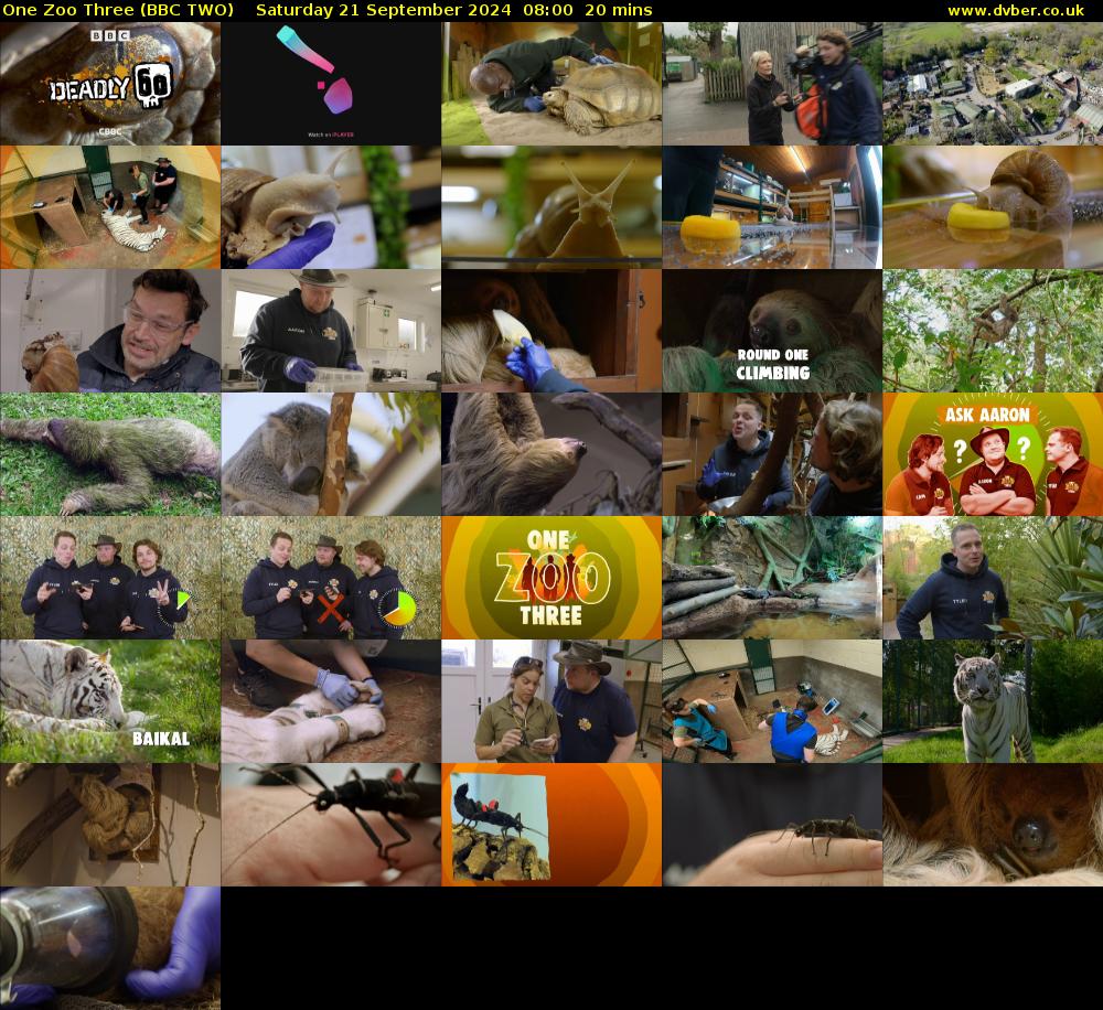 One Zoo Three (BBC TWO) Saturday 21 September 2024 08:00 - 08:20