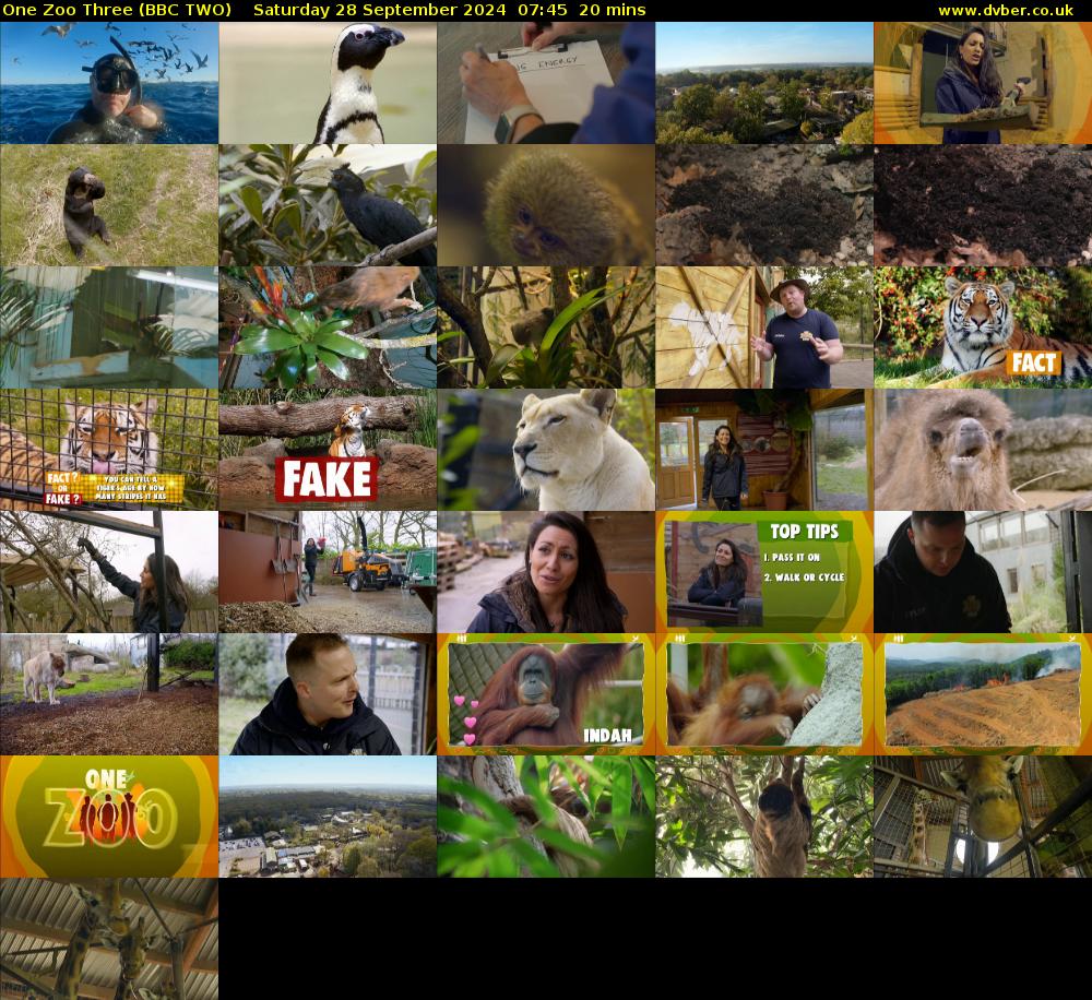 One Zoo Three (BBC TWO) Saturday 28 September 2024 07:45 - 08:05