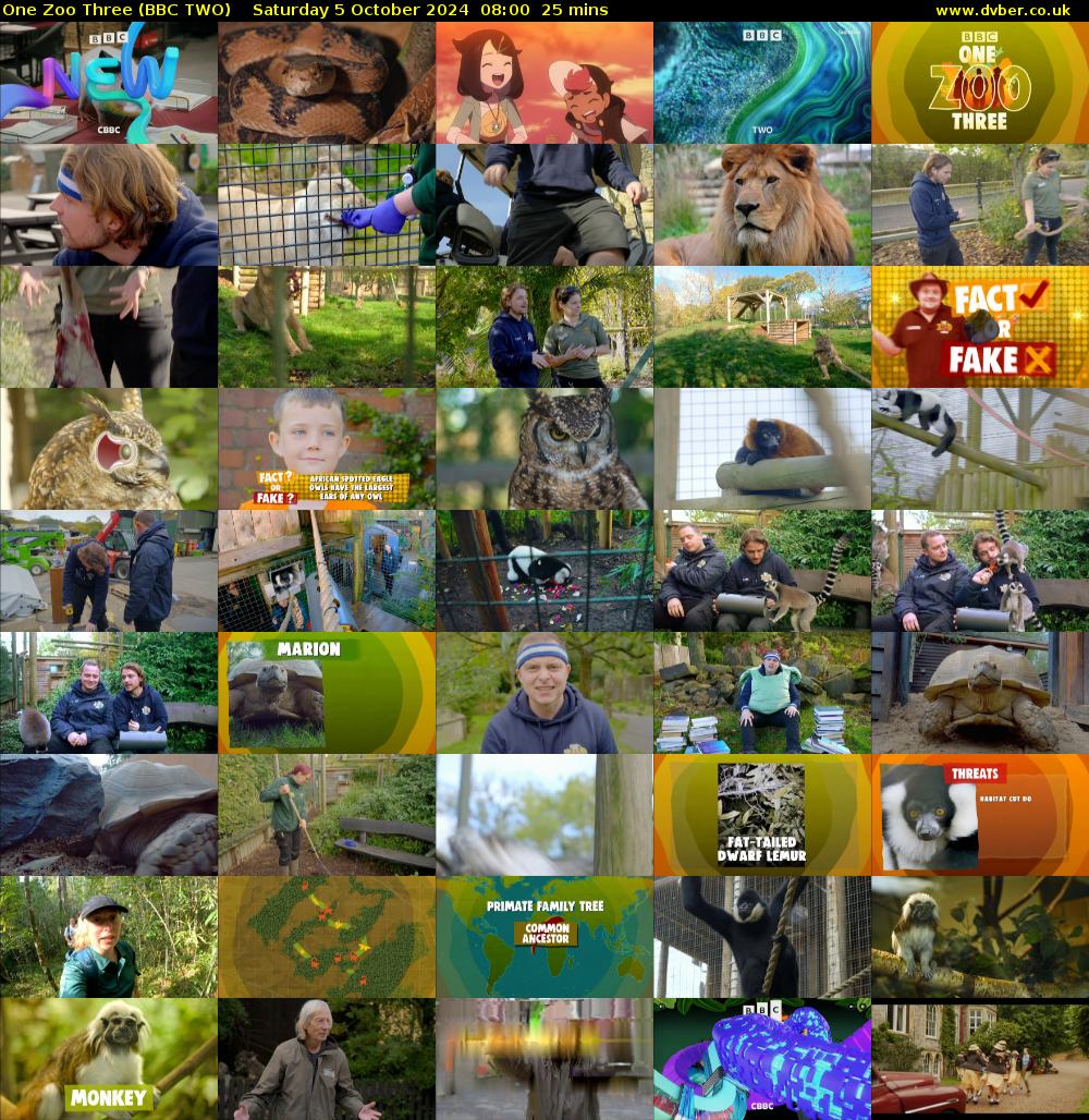 One Zoo Three (BBC TWO) Saturday 5 October 2024 08:00 - 08:25