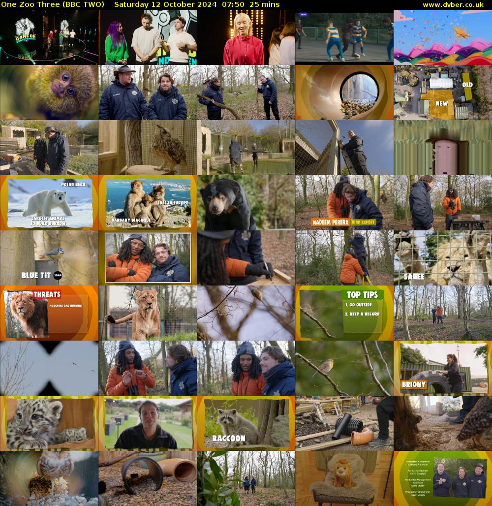 One Zoo Three (BBC TWO) Saturday 12 October 2024 07:50 - 08:15