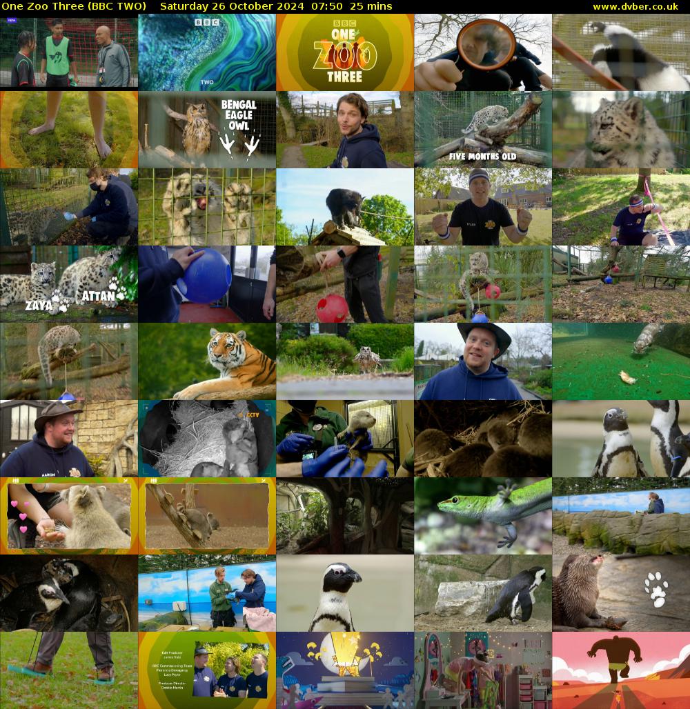 One Zoo Three (BBC TWO) Saturday 26 October 2024 07:50 - 08:15