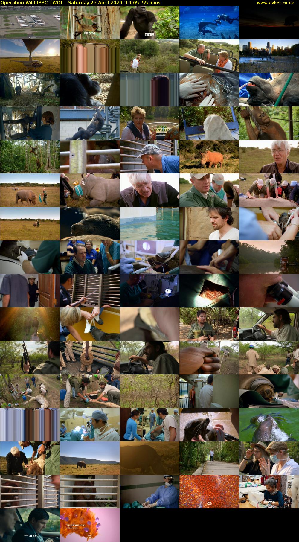 Operation Wild (BBC TWO) Saturday 25 April 2020 10:05 - 11:00