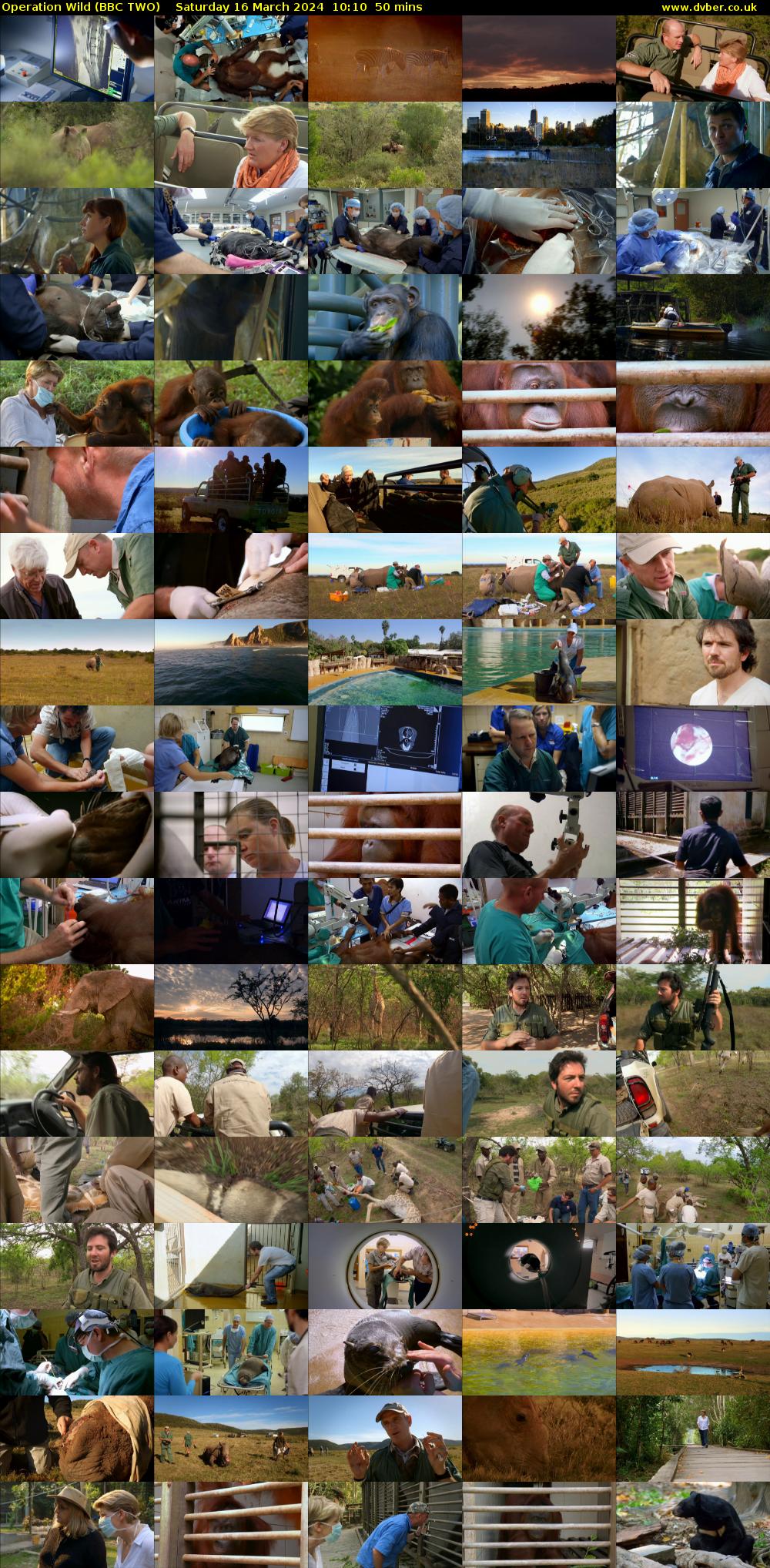 Operation Wild (BBC TWO) Saturday 16 March 2024 10:10 - 11:00