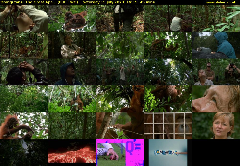 Orangutans: The Great Ape... (BBC TWO) Saturday 15 July 2023 19:15 - 20:00