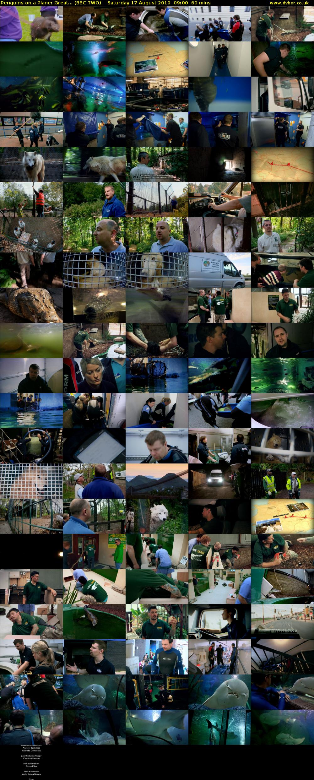 Penguins on a Plane: Great... (BBC TWO) Saturday 17 August 2019 09:00 - 10:00