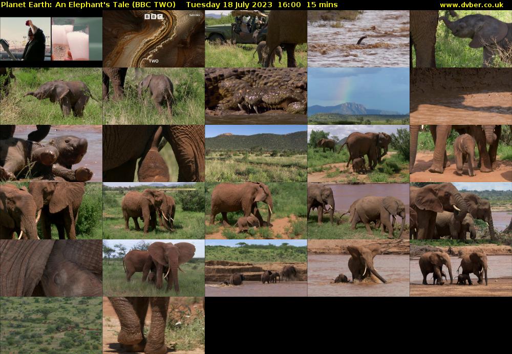 Planet Earth: An Elephant's Tale (BBC TWO) Tuesday 18 July 2023 16:00 - 16:15