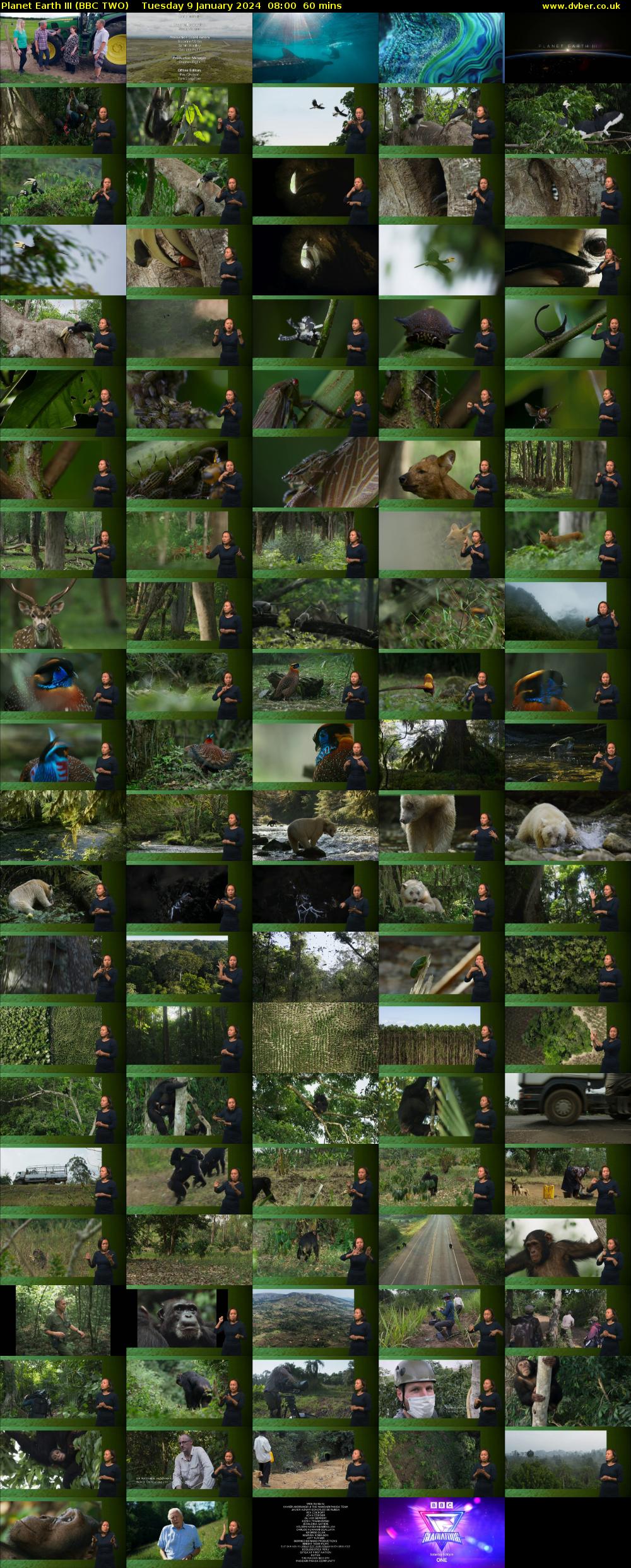 Planet Earth III (BBC TWO) Tuesday 9 January 2024 08:00 - 09:00