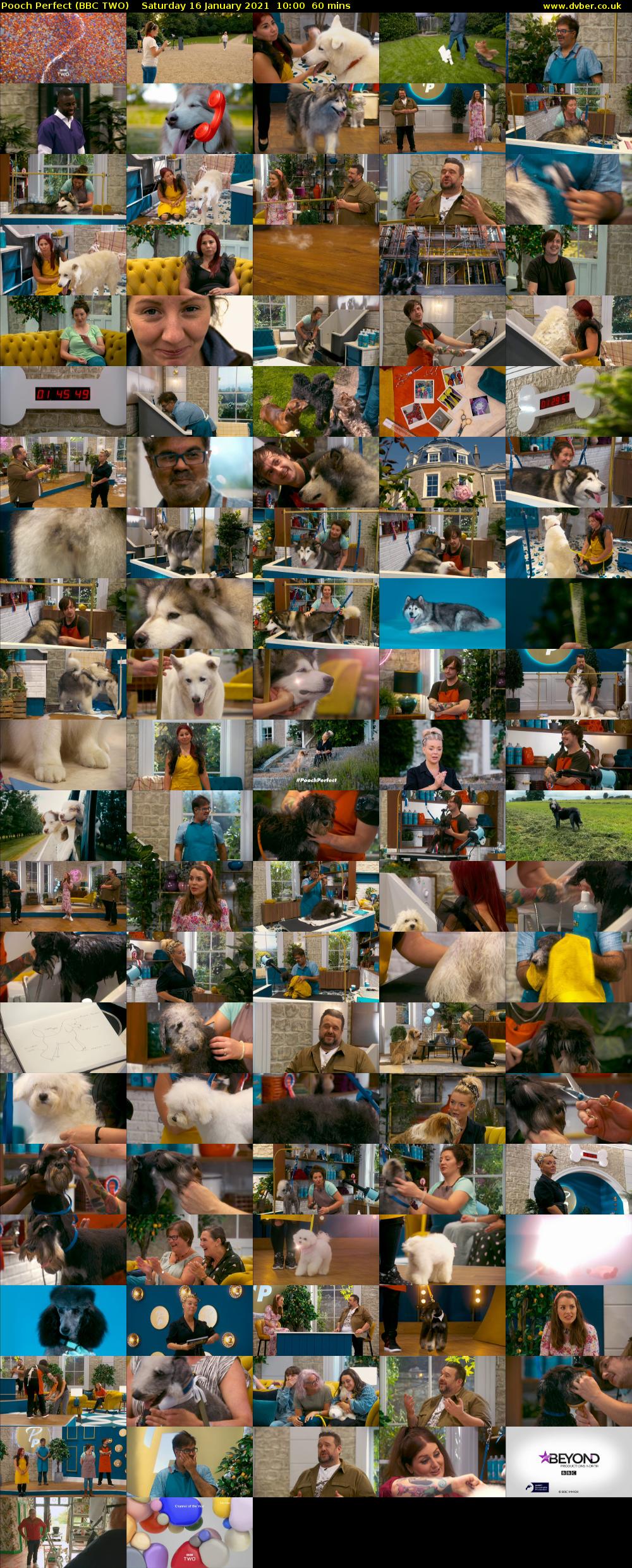 Pooch Perfect (BBC TWO) Saturday 16 January 2021 10:00 - 11:00