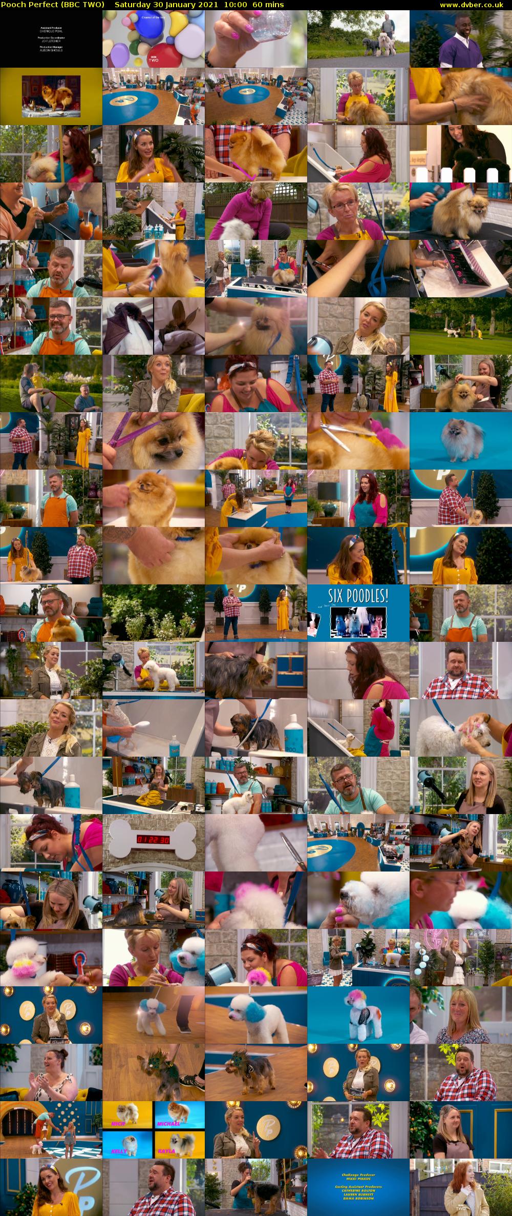 Pooch Perfect (BBC TWO) Saturday 30 January 2021 10:00 - 11:00